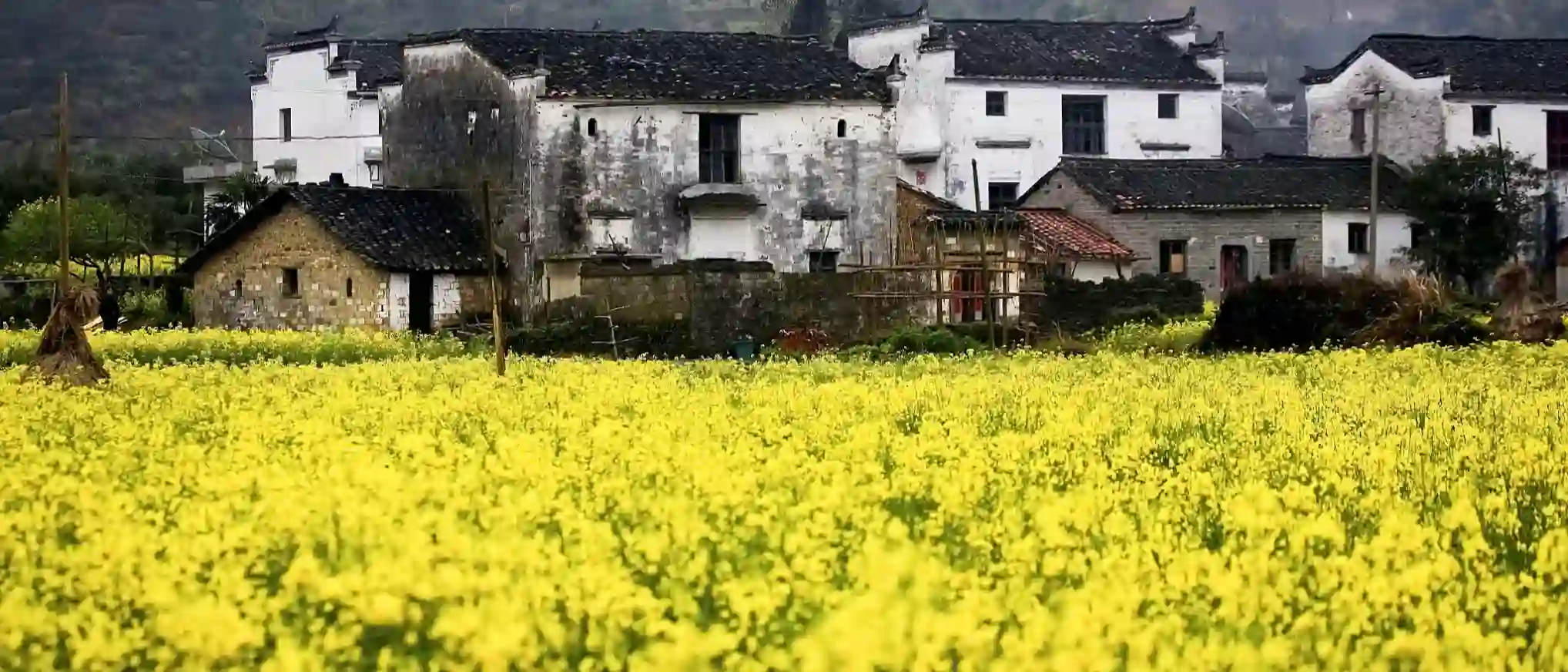 婺源